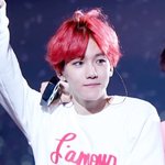 [EXO] 얼굴이 너무 예쁨ㅠㅠ