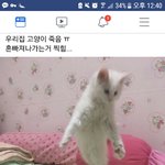 [드루와] 너네 아침에 클렌징폼으로 <b>세수</b>해??