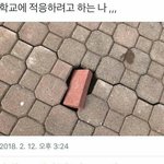 렌즈끼는애들아 시력몇이야?