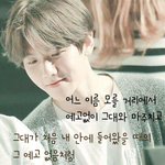 [EXO] 요즘 그로들은 <b>안개</b>같아