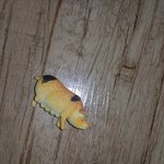 다이소 공룡인형이 목이 부러져버린~~~