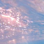 나 개망함 잘생긴애랑 같이 <b>분리</b>수거함