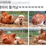 [댓글부탁해] 엄마랑 성<b>평등</b> 관련해서 얘기하는 사람?