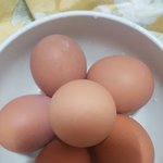맥반석 <b>꿀맛</b>ㅜ