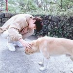 [EXO] 야 택배 분실돼서 못 받으면 어캄