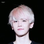 [EXO] 언제가 더 <b>최근</b>이게