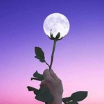 [댓글부탁해] <b>입자</b> 고운 하이라이터 ㅊㅊ좀
