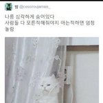 [댓글부탁해] 페북계정없이 <b>울</b><b>반</b>단페 들어가기 가능?