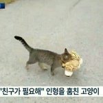 [댓글부탁해] 본진 <b>최악</b>의 상황 추반하자