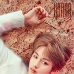 [NCT] ㅠㅠㅠ동스청 <b>미모</b> ㅠㅠㅠ
