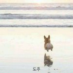 [19] 나 양성애자인데
