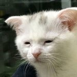 고등학교 내신공부 자습서<b>도움</b>돼??