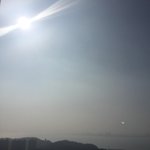 [조언부탁해] 얘들아 <b>무리</b>에서 나가는거