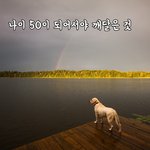 [꼭봐주세요] 나이 50이 되어서야 깨달은 것들