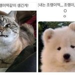 [강다니엘] 타) 오랜만이야
