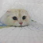 [댓글부탁해] 댄스부인데 댄스대회