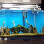 [뉴이스트] 굿바바 <b>MV</b>