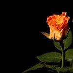얘들아 나 오늘 지갑 털렸는데