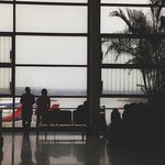 요리 좋아하는 서른 둘 남자의 눈으로 본 중국