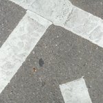 [추반] 신발이랑 <b>양말</b> 조합 ㅂㄹ임ㅠㅠ?