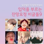 [박우진] <기사>입덕을 부르는 잔망요정 <b>비글</b>돌