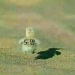[10대의성] 짝남한테 내가 <b>밀착</b>하면...