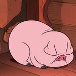 나 오늘 <b>갑분</b>싸 경험해봄