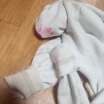 [들어와봐] 얘 미친거 아냐?