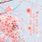 [슈퍼 그뤠잇] 화이트데이에 더~ 멋지고 특별한 데이~~