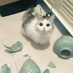 [조언부탁해] 오늘 후<b>리스</b> 입고가면 추울까??