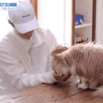 박보검한테 치대는 미미<b>gif</b>