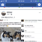 “전국수간<b>협회</b>” 여러분 관심좀...가져주세요 애견인들 꼭 필독!