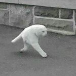 얘들아 <b>뒷북</b> 미안한데 나 반배정 상상초월이다