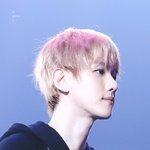 [백현] 벚꽃큥 <b>옆선</b> 봐