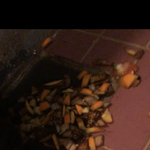 [개깊은빡침] 진짜..이런 집 처음볼껄?