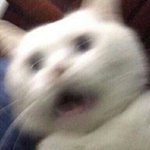 [댓글부탁해] <b>아</b> 얘들아 <b>뭐</b>됐음 조언좀