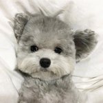 [댓글부탁해] <b>영어</b> 기초가 1도 없는 중3이면