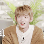 [드루와] 얘들아 이거 뭐지ㅜㅜ제발 알려줘