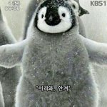 <b>짝</b>남한테 은근슬쩍 물어봤는디...