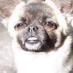 [19] <b>미투</b>가 헬조선화되네