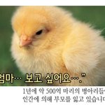 [EXO] 너네 <b>치킨</b> 좋아해?