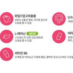 다이어트 1일차 돌입 (feat. 와일드망고)