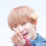 비주얼계의 <b>혁명</b>임