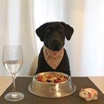 [내가한요리] 나말고 우리집 똥강아지 밥상1