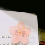 벚꽃메모지 <b>존예</b>ㅜ