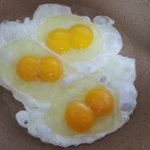 [드루와] <b>쌍란</b> 3개 나옴ㅋㅋㅋ