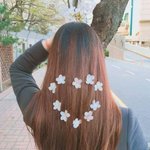얘드라 들어와서 ㅈㅂ 코디좀 해줘 진짜 급해