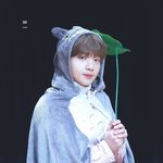 무리 <b>홀수</b>였거나 <b>홀수</b>인사람 제발 들어와