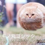 [댓글부탁해] <b>짝사랑</b> <b>고민</b> 상담 좀 해줘ㅠㅠ
