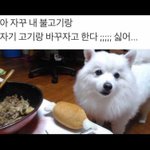 단발할까말까
